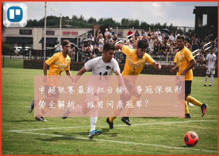 中超联赛最新积分榜：争冠保级形势全解析，谁将问鼎冠军？