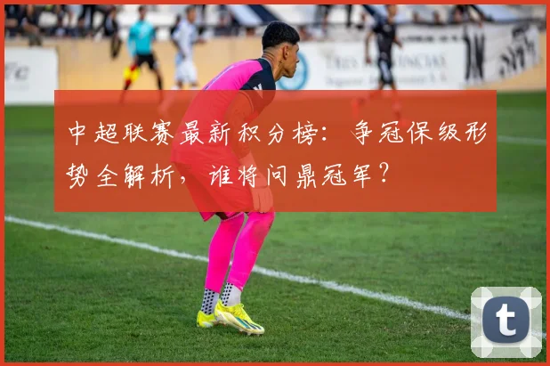 中超联赛最新积分榜：争冠保级形势全解析，谁将问鼎冠军？